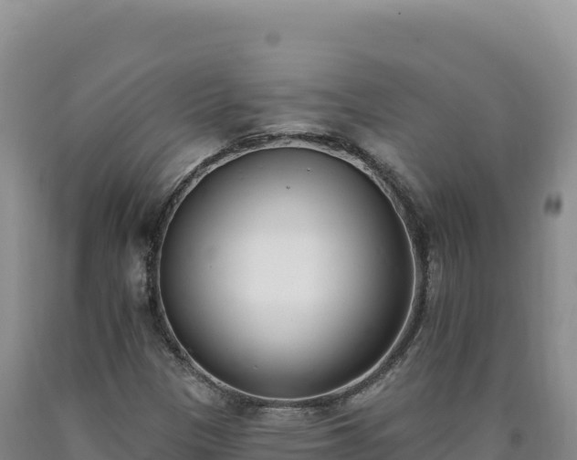 X0000090751305200707271437
