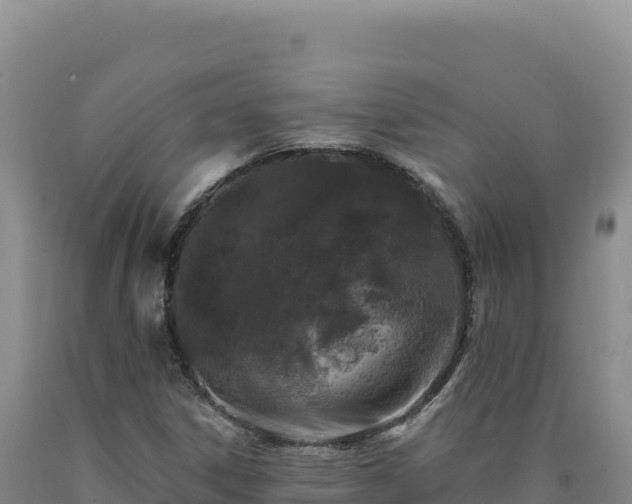X0000090751306200707271437