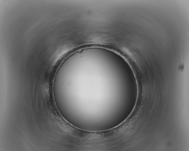 X0000090751307200707271437