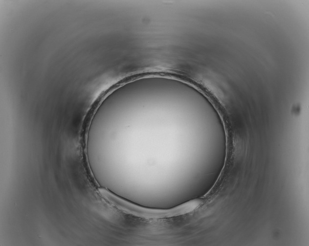 X0000090751308200707271437
