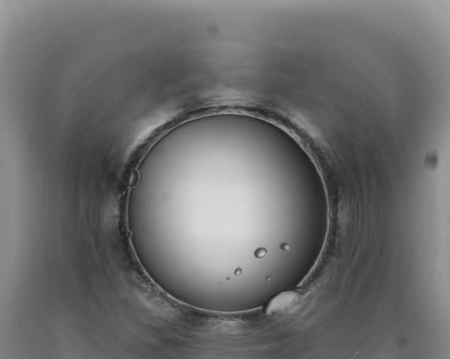 X0000090751309200707271437