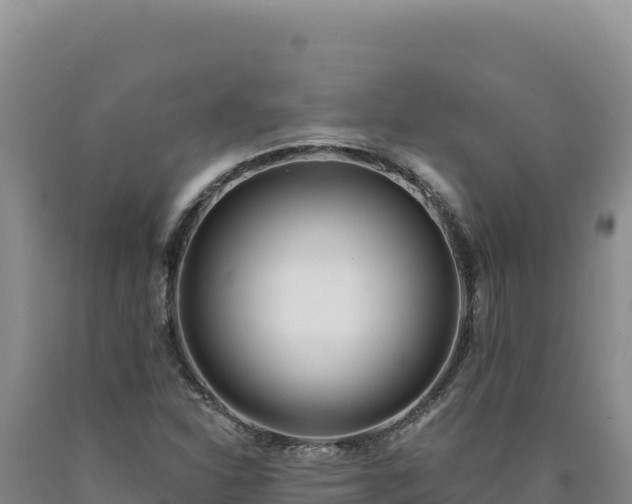 X0000090751310200707271437