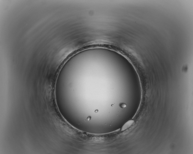 X0000090751313200707271437