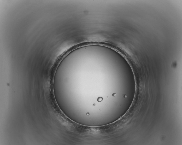 X0000090751315200707271437