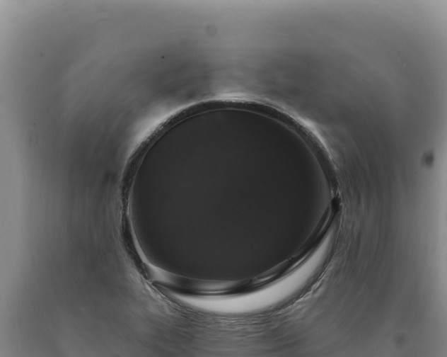 X0000090751319200707271437