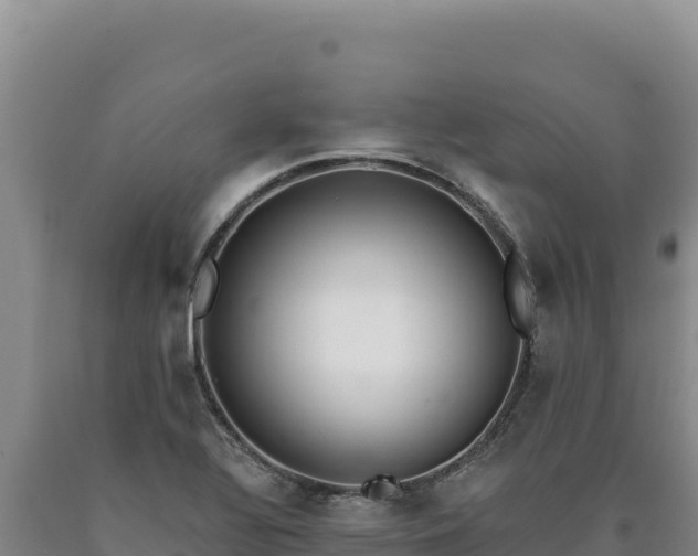 X0000090751320200707271437