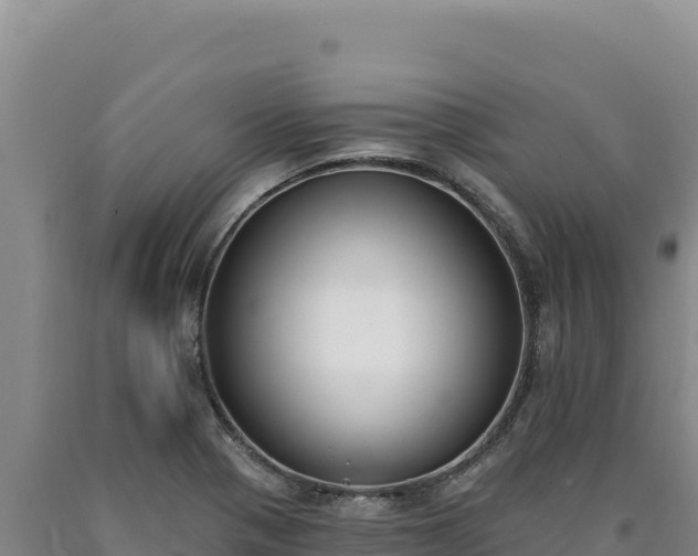 X0000090751321200707271437