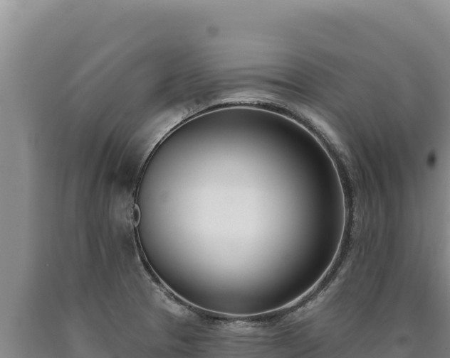 X0000090751329200707271437