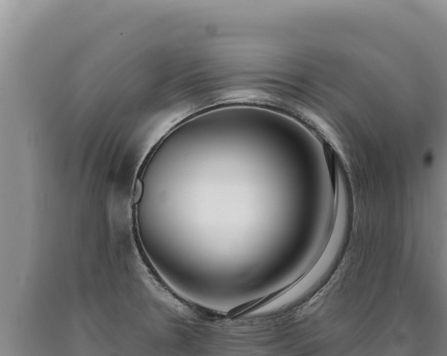 X0000090751330200707271437