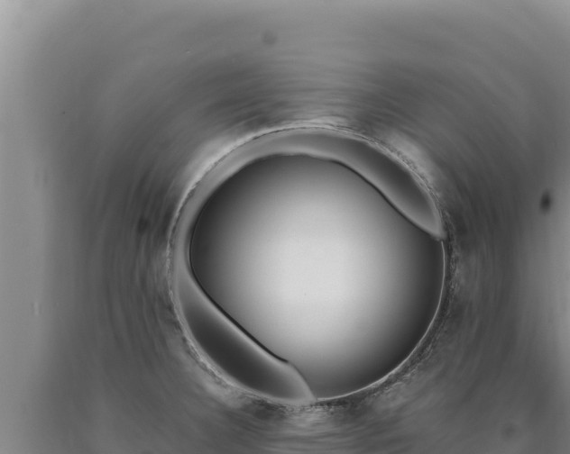 X0000090751332200707271437