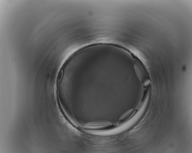 X0000090751334200707271437