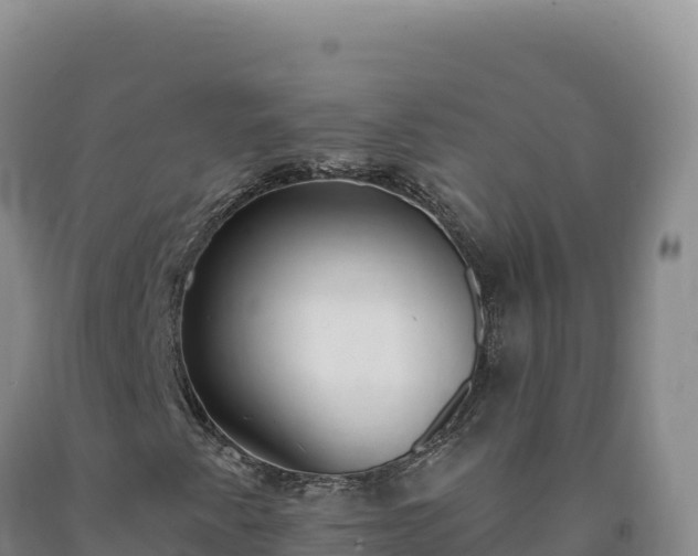 X0000090751345200707271437