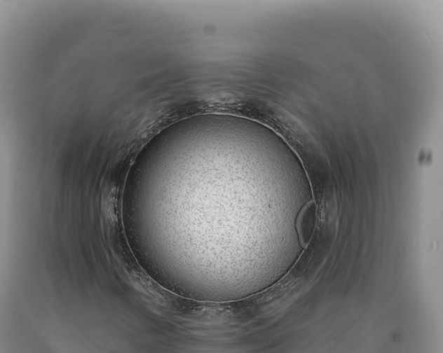 X0000090751346200707271437