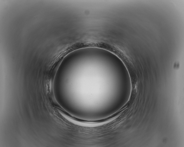 X0000090751348200707271436
