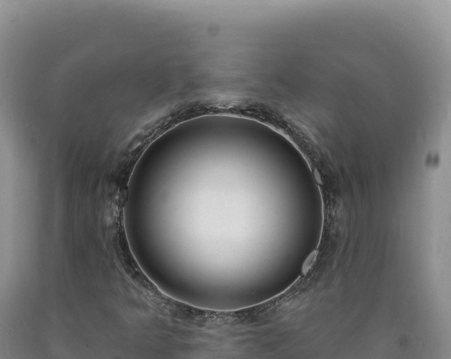 X0000090751349200707271436