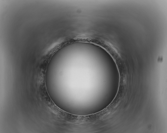 X0000090751350200707271436