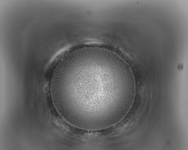 X0000090751351200707271436