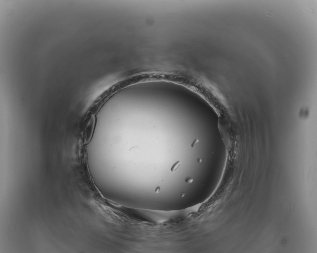 X0000090751352200707271436