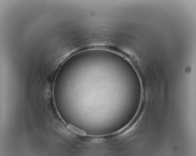 X0000090751353200707271436