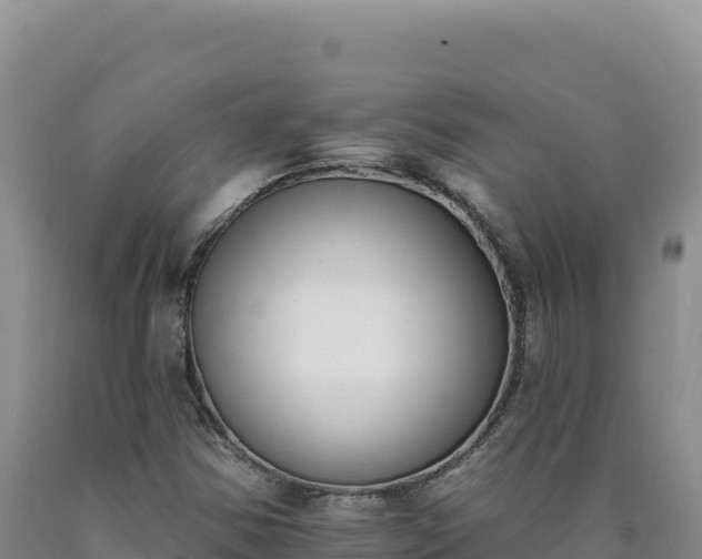 X0000090751354200707271436