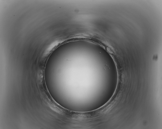 X0000090751355200707271436