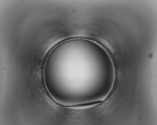 X0000090751356200707271436