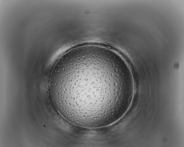 X0000090751359200707271436