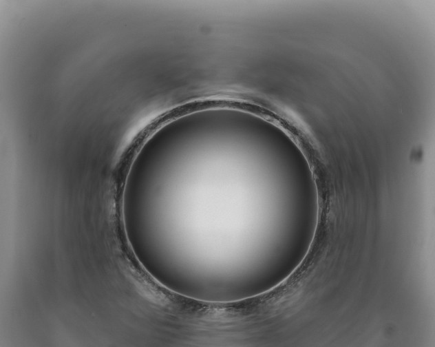 X0000090751360200707271436