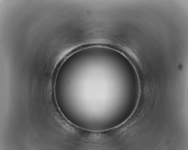 X0000090751364200707271436