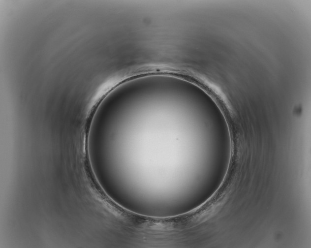 X0000090751365200707271436