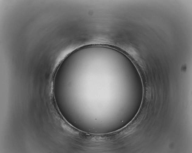 X0000090751366200707271436