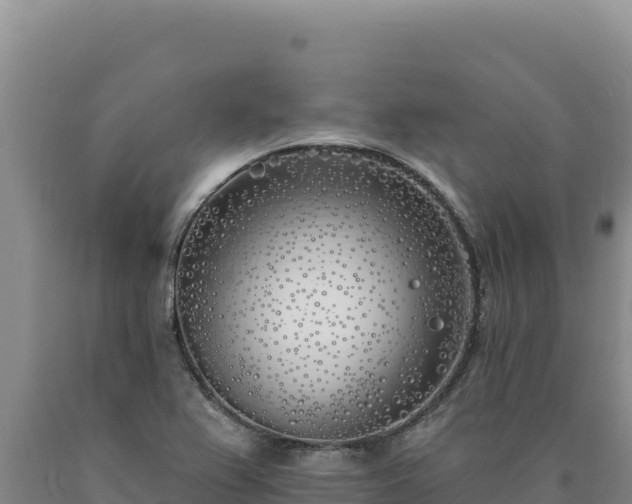 X0000090751367200707271436