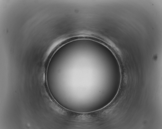 X0000090751368200707271436