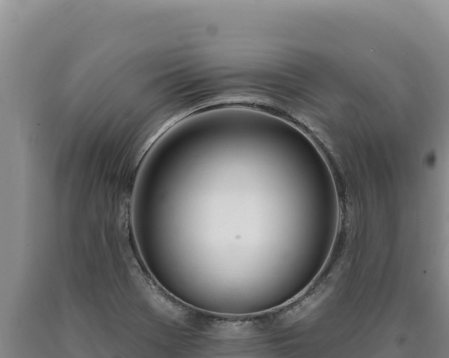 X0000090751369200707271436