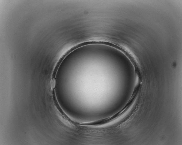 X0000090751372200707271436