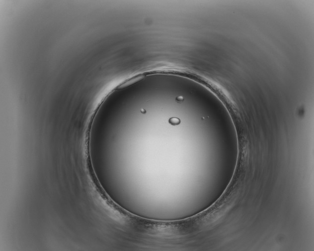 X0000090751375200707271436