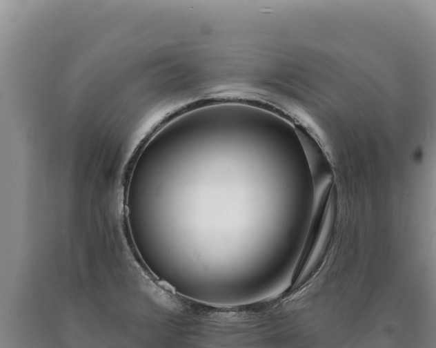 X0000090751376200707271436
