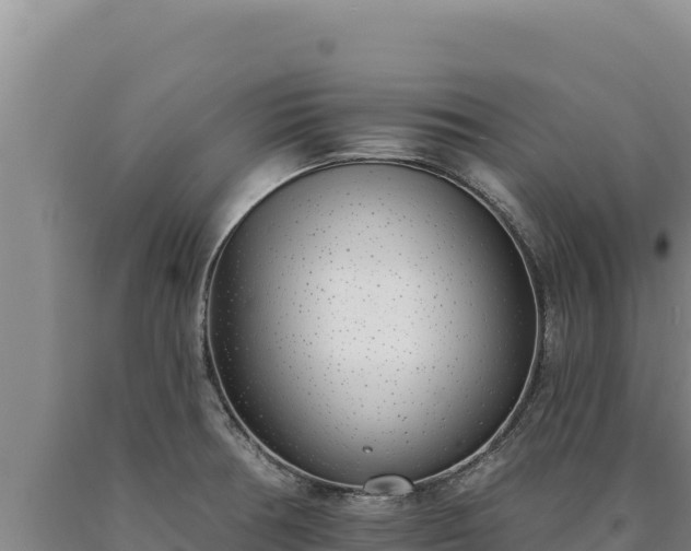 X0000090751378200707271436