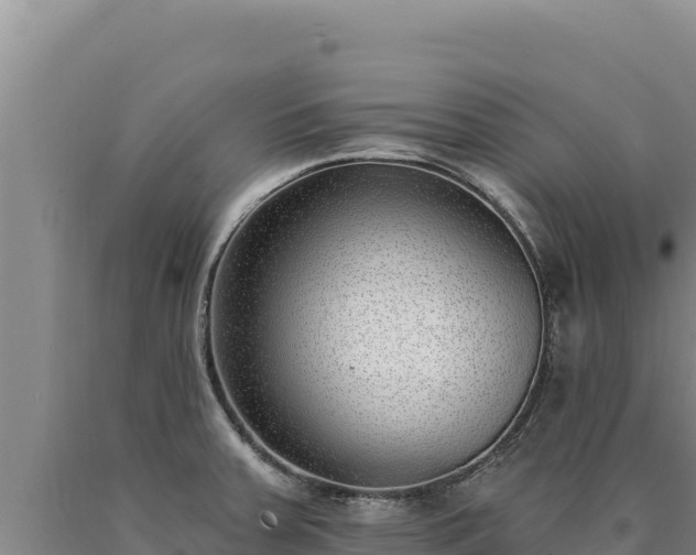 X0000090751379200707271436
