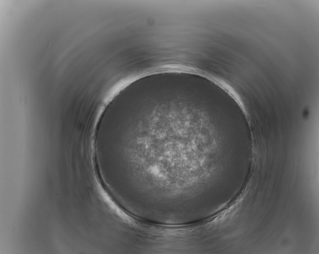 X0000090751381200707271436