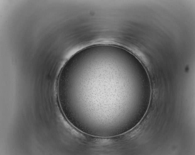 X0000090751382200707271436