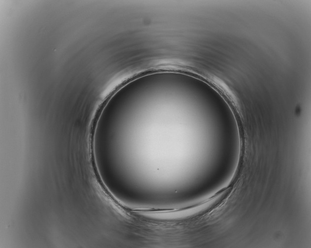 X0000090751384200707271436