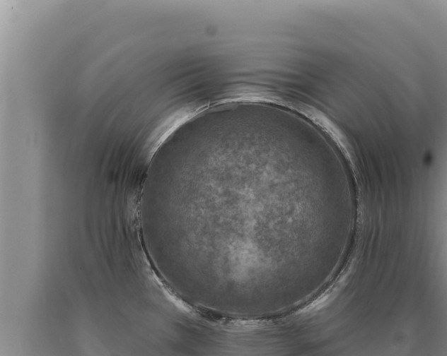 X0000090751385200707271436
