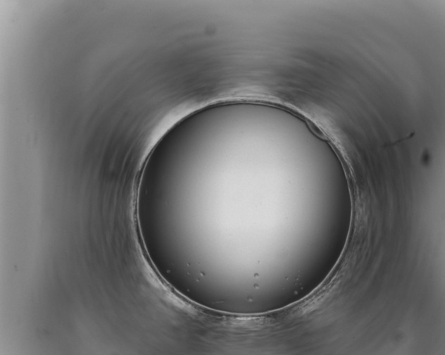 X0000090751390200707271436