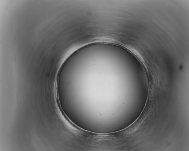 X0000090751391200707271436