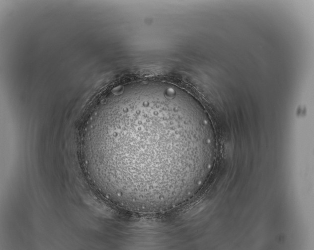X0000090751393200707271435