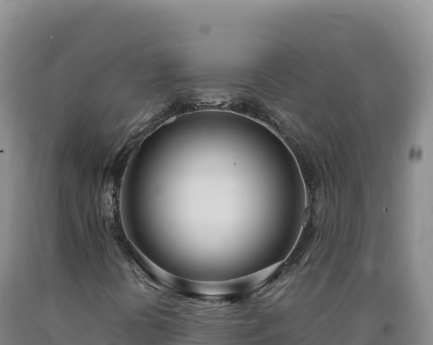 X0000090751394200707271435