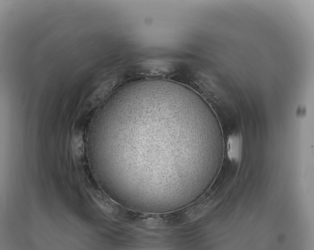 X0000090751395200707271435