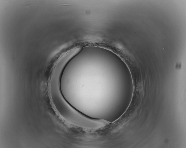 X0000090751398200707271435