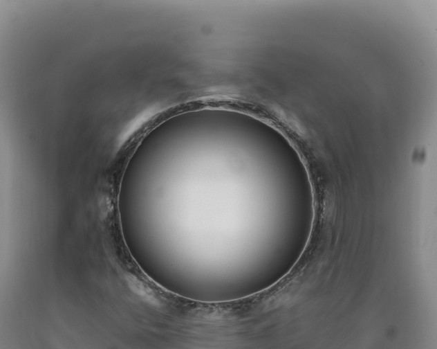 X0000090751400200707271435